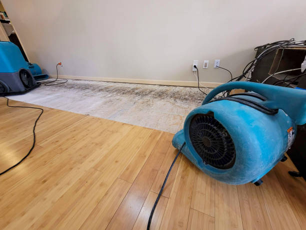 Professional Basement Flood Cleanup technician working in Brookeville, MD